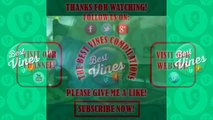 Best Animal Vines Compilation Funny Animal Vines New Animal Vines 2014 December Part 2