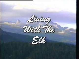 Living With Elk in the Rocky Mountains 🦌