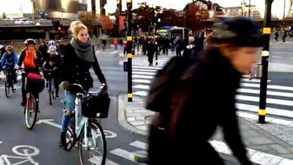 The far-right rises in a polarized Sweden