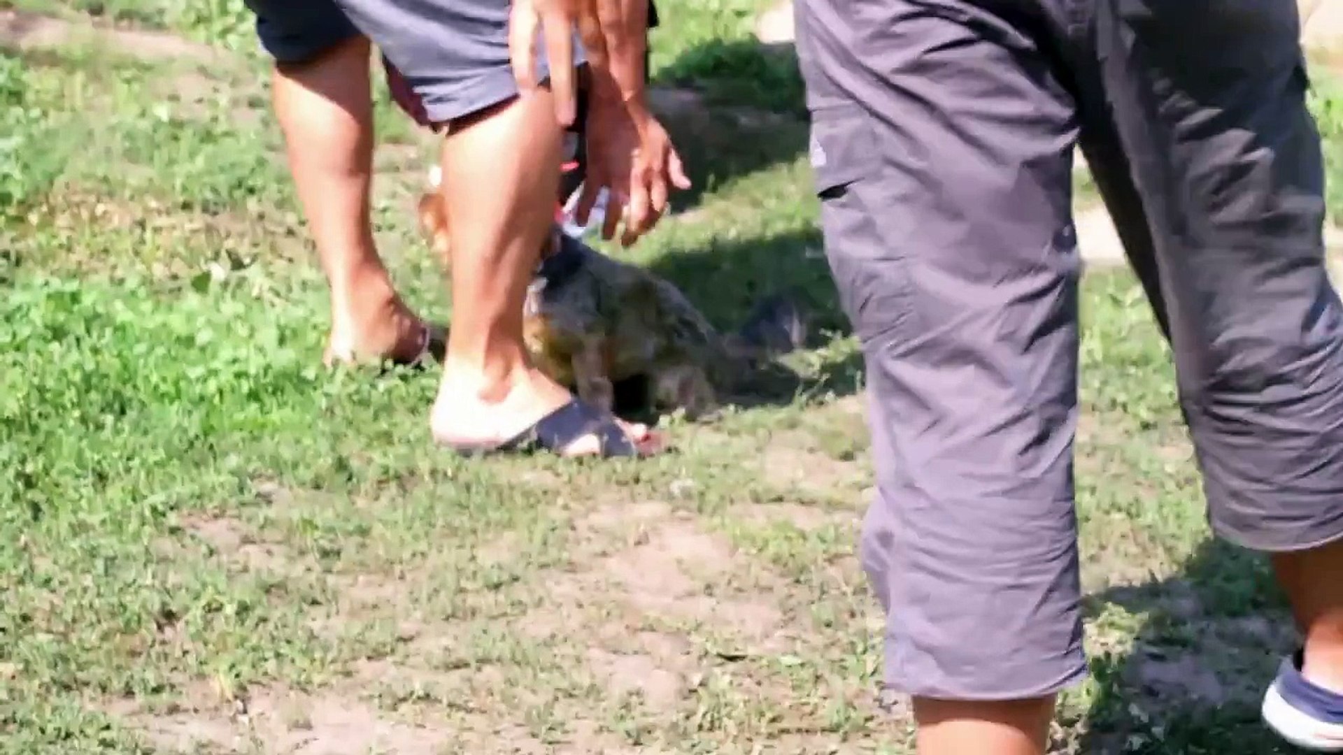 Short Yorkshire Documentary