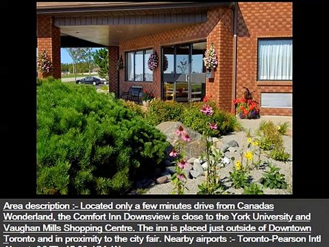 Comfort Inn Toronto North - One of the Best Hotel idea in toronto