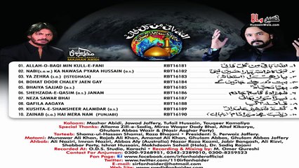 Neza Sawar Bhai :: Irfan Haider :: Nohay 2015-16 ::