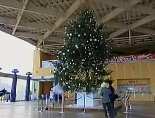 ELECTRIC EEL LIGHTS UP CHRISTMAS TREE