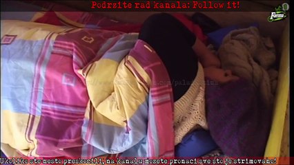 ***** Farma 6 ***** (2015-10-18 08:26:51 - 2015-10-18 10:48:01)