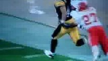 Polamalu tackled by hair