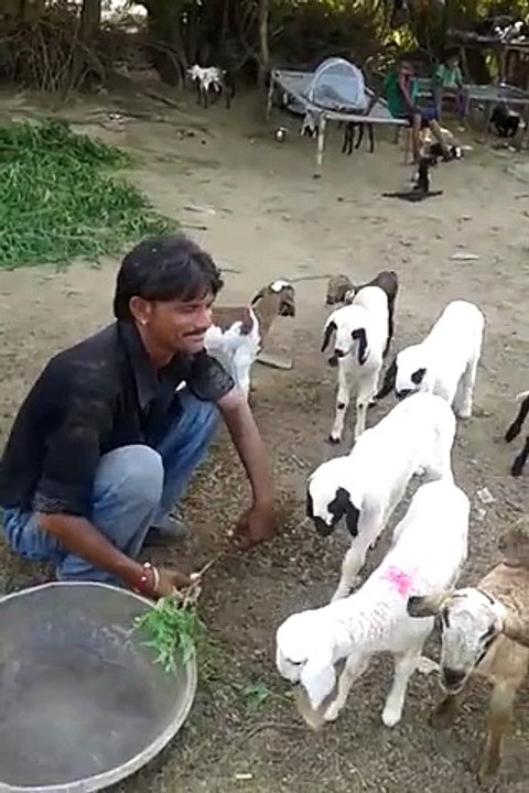 man talking got funny prank