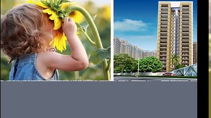 Gulshan Ikebana Flats Apartments