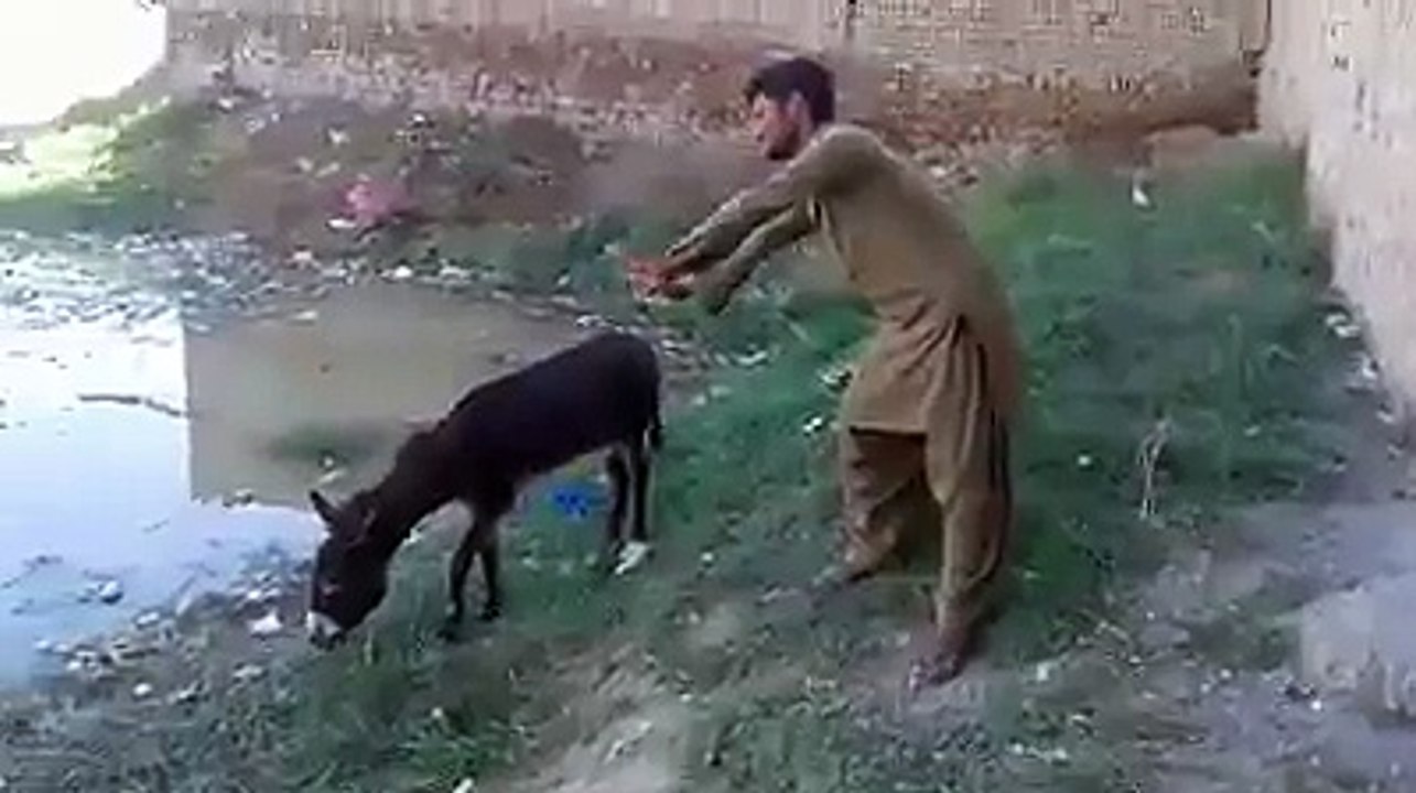 funny video
