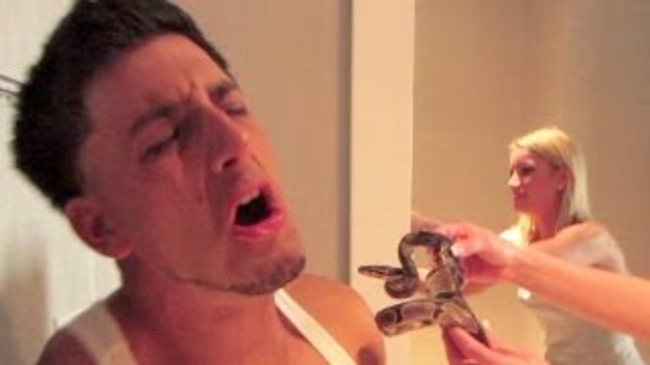 SNAKE REVENGE PRANK