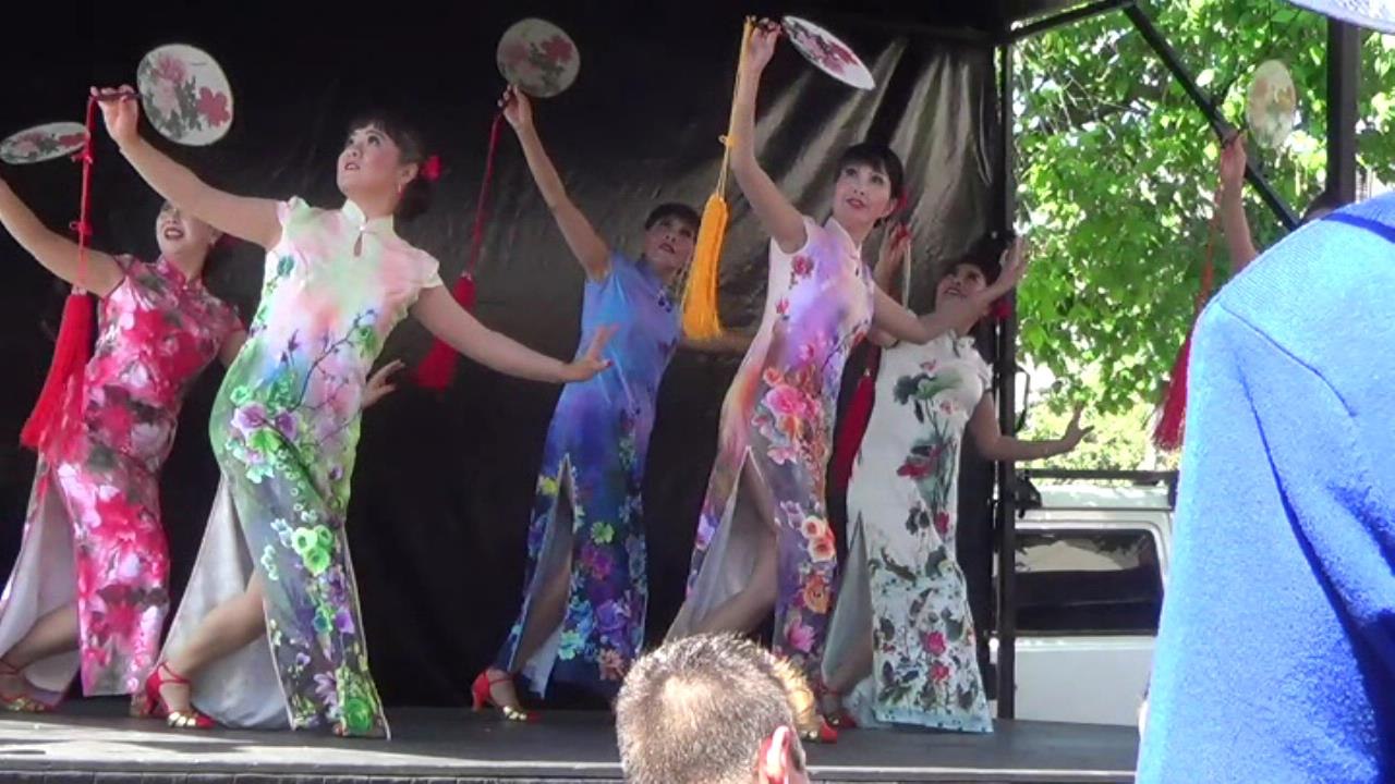 Granny Smith Festival Part 2 of 3, Eastwood, Sydney 17 Oct 2015