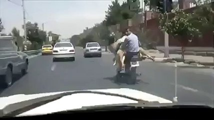 Funny Peoples Funny Animals