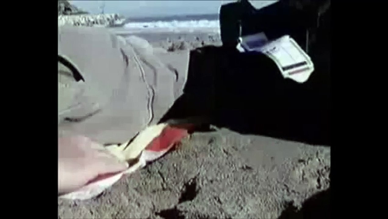 Avião faz aterragem numa praia