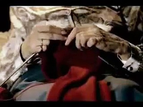 ☆ Gato Celebrando Un Gol ☆ BUENISIMO! Los mejores videos de gatos chistosos divertidos