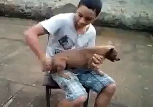 Sorun çocukta mı köpekte mi anlamadım - Funny videos - Komik videolar