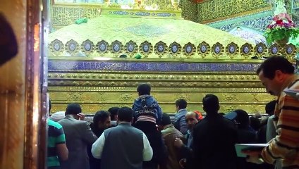 Aie Meray Bhai Reza (as) - Mir Hasan Mir Noha 2015-16 [HD]