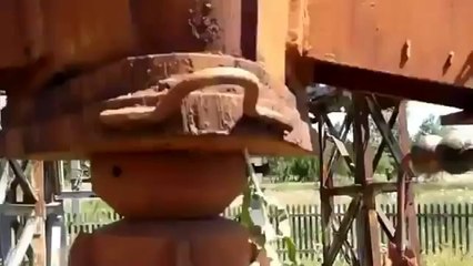 Radyo antenine otları dokundurarak müzik dinlemece