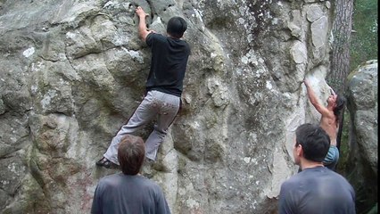 Bleau - Festin de Pierre