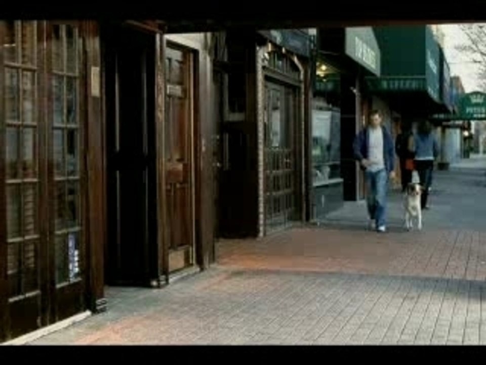 Heineken-dog