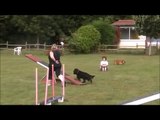 H'Angy Cours Agility