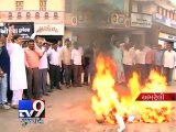 BJP Protests Against MLA Nalin Kotadiya's Controversial Remarks on Asiatic lions - Tv9 Gujarati