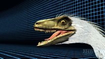 Dinosaur Documentary 2015 - South Polar Dinosaurs - Discovery Channels - BBC Documentary