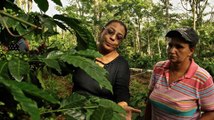 Women Make Change - Gaining Ground: Nicaragua's Women Coffee Farmers