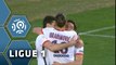 But Zlatan IBRAHIMOVIC (72ème) / SC Bastia - Paris Saint-Germain (0-2) - (SCB - PARIS) / 2015-16