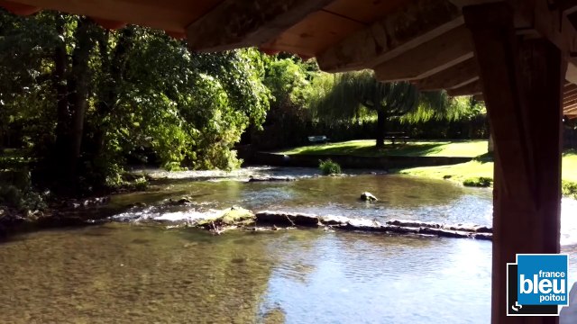 Grand Air Quinçay 191015 au 251015