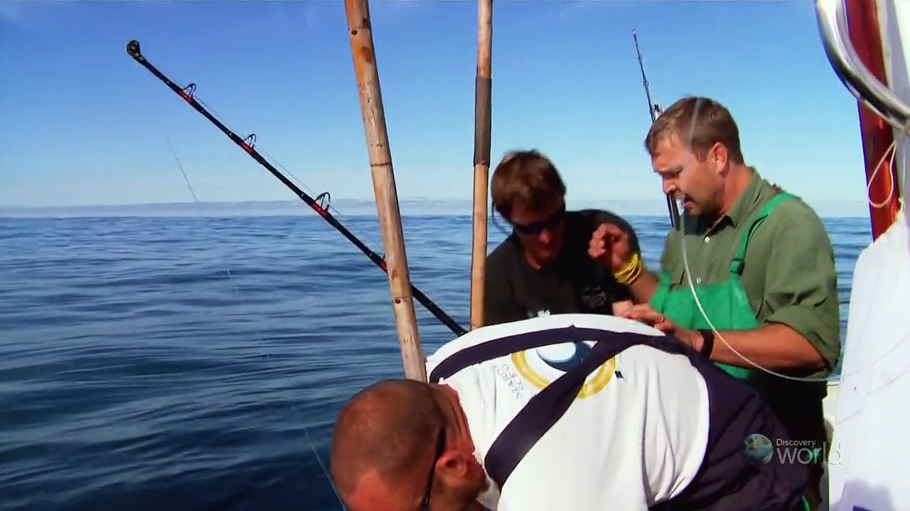 Cooked In Africa Season 5 13of13 Pringle Bay 720p