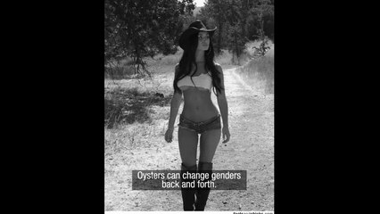 Hot Girls with Random Facts Part 1