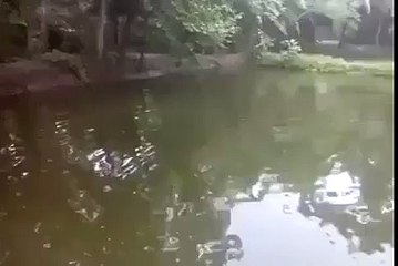 Eida v Ho Janda Kadi Kadi