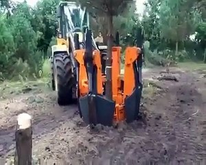 "..Ab Darakht ko aik Jagah se Doosri jagah Muntaqil.. - GVP.."