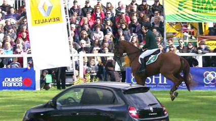 Mondial du Lion 2015: Les vainqueurs en vidéo