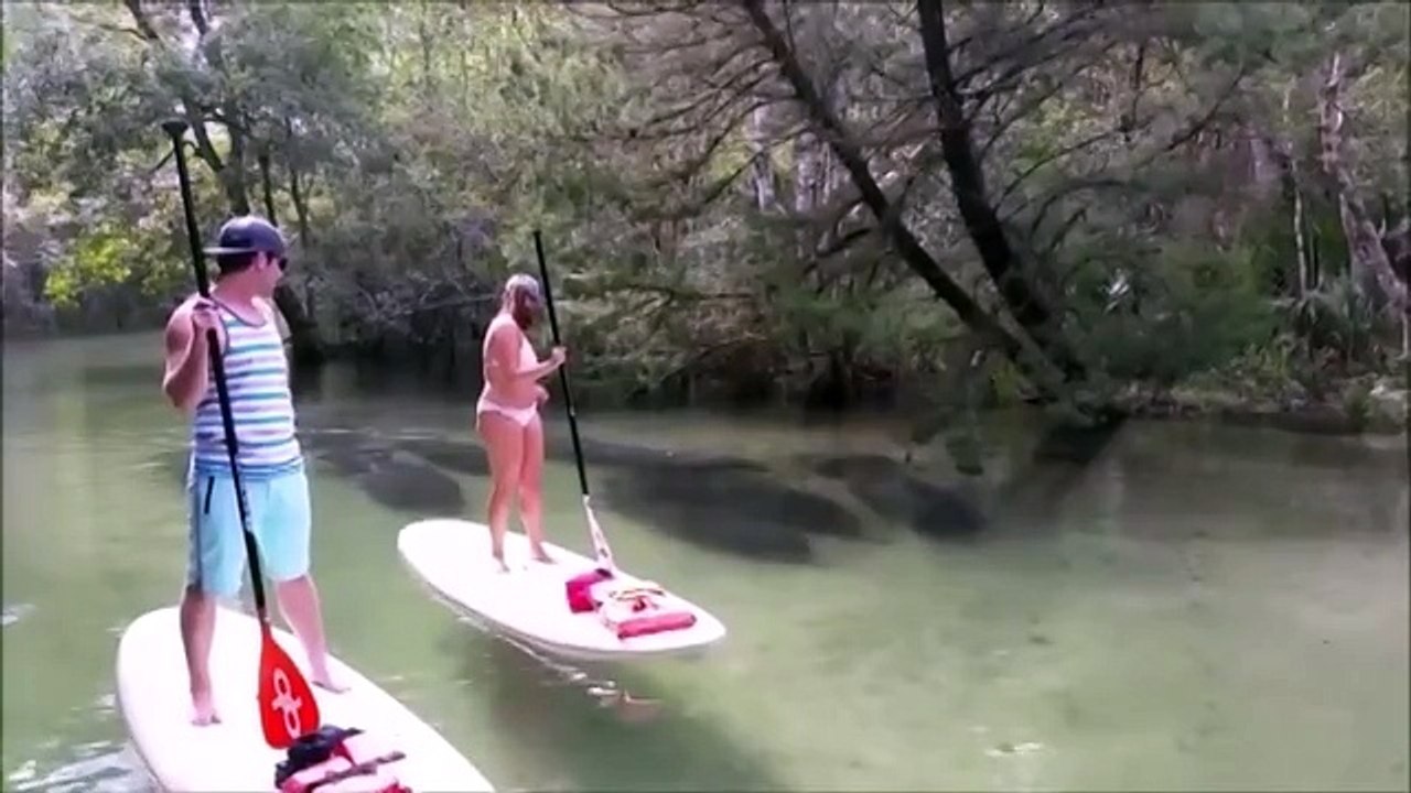 Они спокойно плыли по реке, как вдруг увидели это…