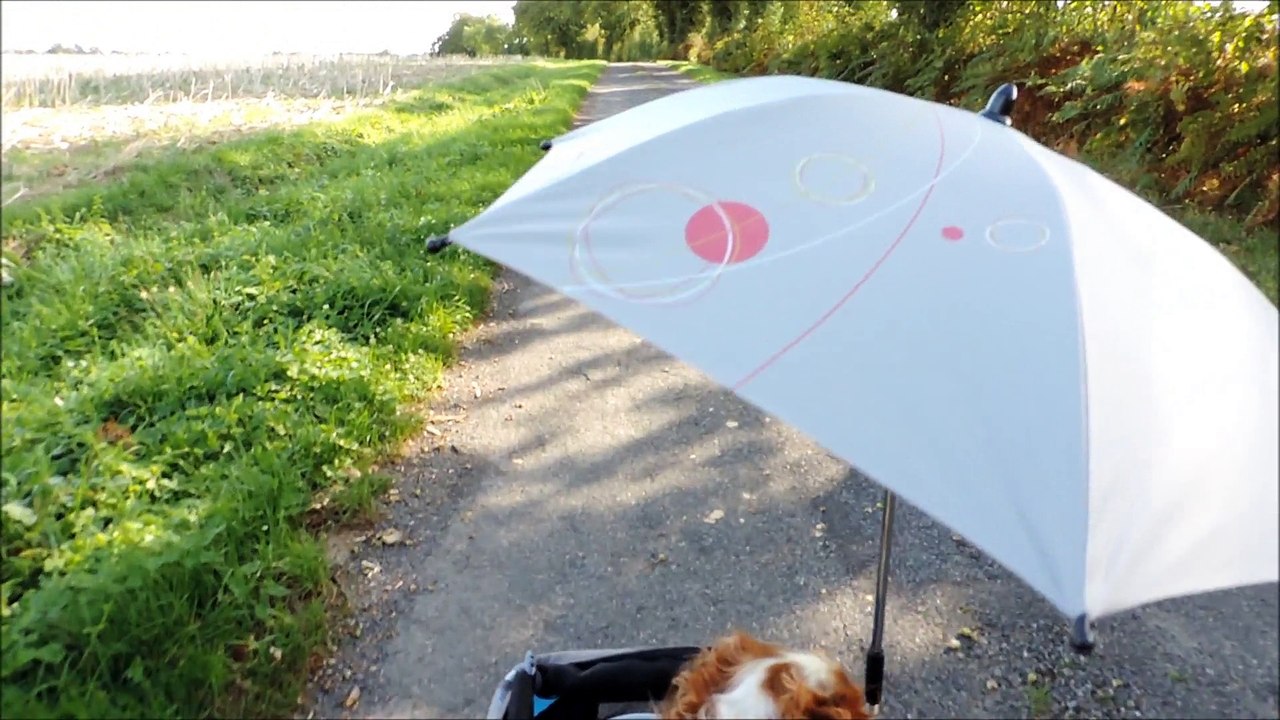 Visite virtuelle Ch Hôtes