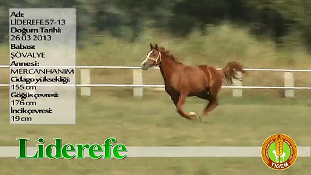 LİDEREFE