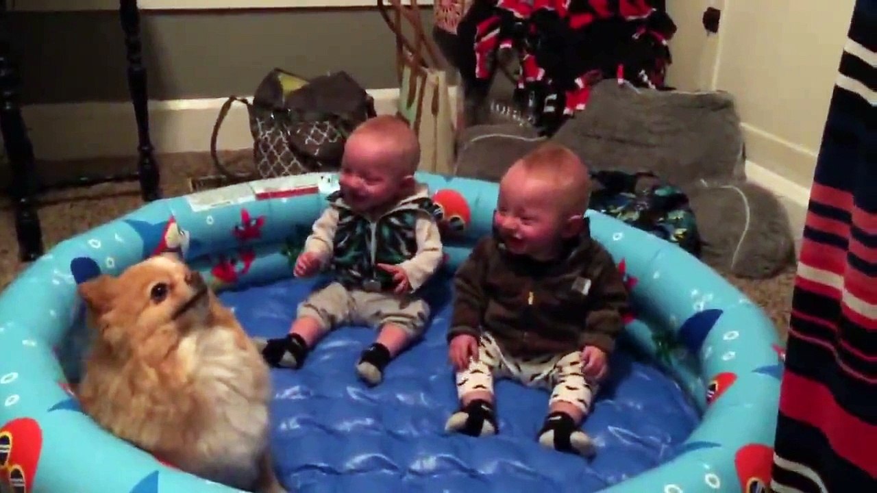 İkizlerin Katıla Katıla Güldüğü Köpek