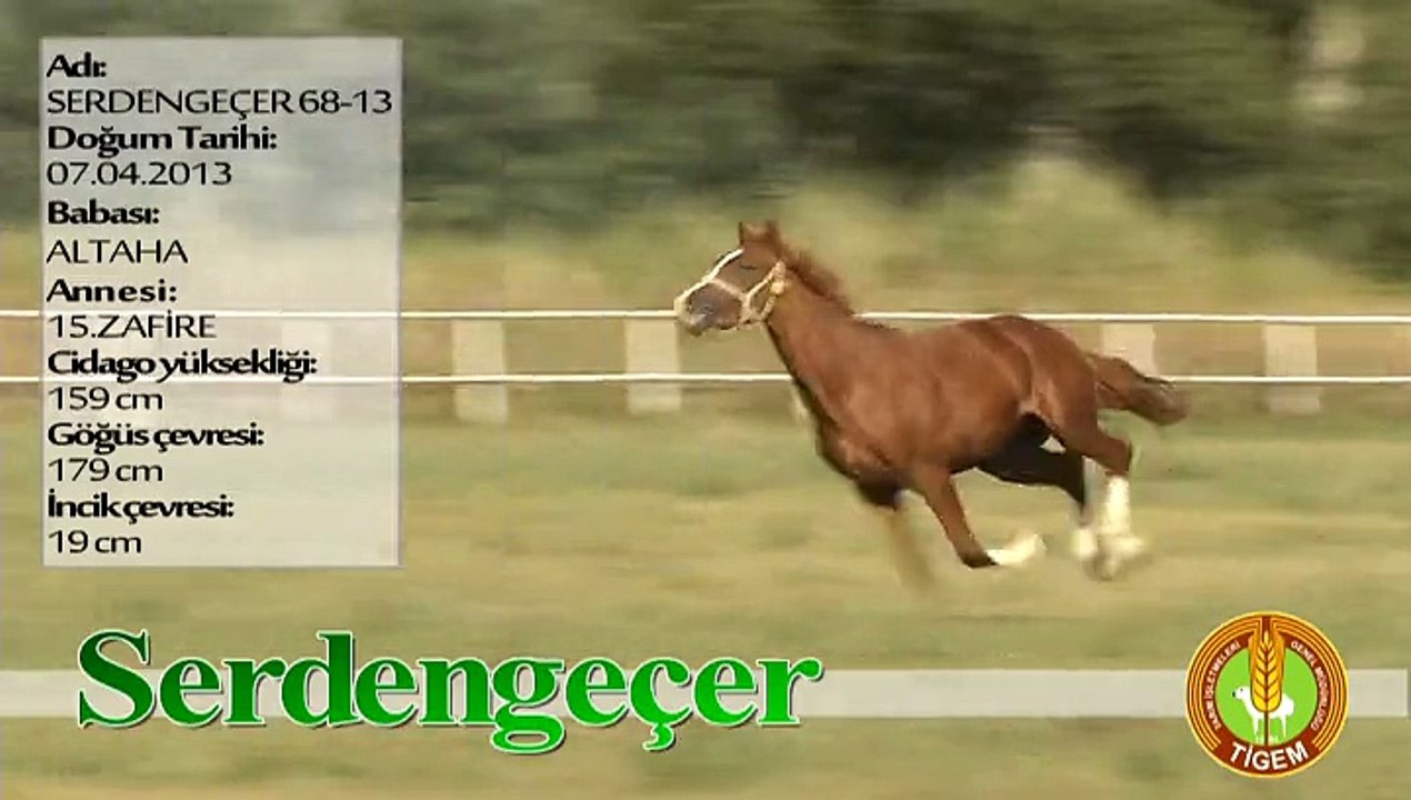 SERDENGEÇER