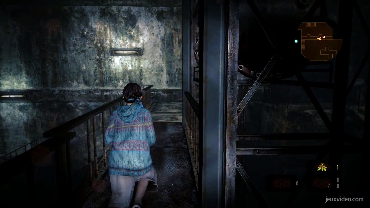 Larves d'insectes (BarryNatalia)