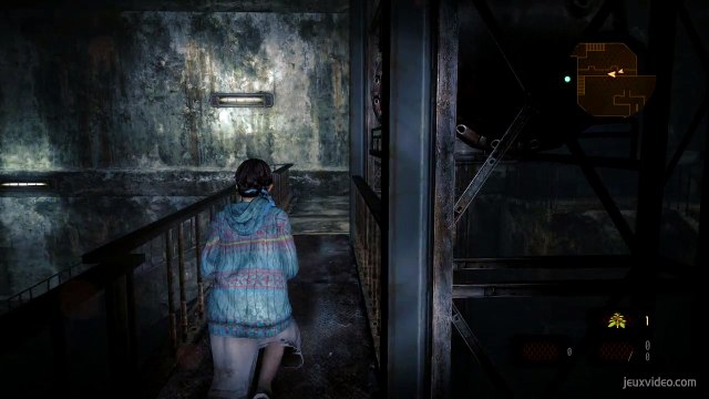 Larves d'insectes (BarryNatalia)