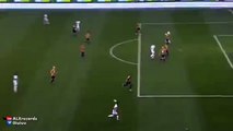 Cyril Thereau Goal Verona vs Udinese 1-1 (Seria A) 2015