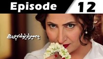 Ye Mera Deewanapan Hai Episode 20 Full on Aplus Entertainment