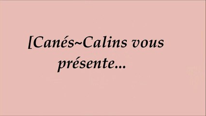 Hikaro | [Canés~Calins. ®