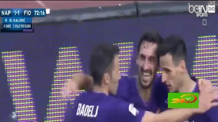 Napoli vs Fiorentina 2-1 All Goal & Highlights (Serie A 2015) (Low)