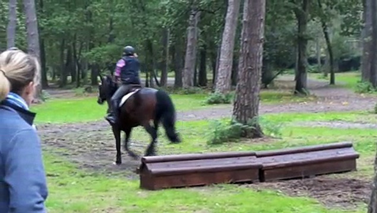Entraînement cross Fontainebleau