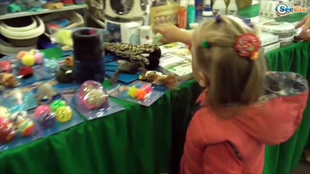 ✔ Выставка Кошечек. Игрушки для маленьких котят - Kitty and Yaroslava. A toy for little kitties ✔