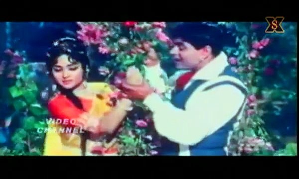 Baharon Phool Barsao - Suraj (1966) HQ - Rajendra Kumar & Vyjayanthimala