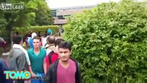 Refugee fight in Germany: Migrants fight in German town of Friedland - TomoNews