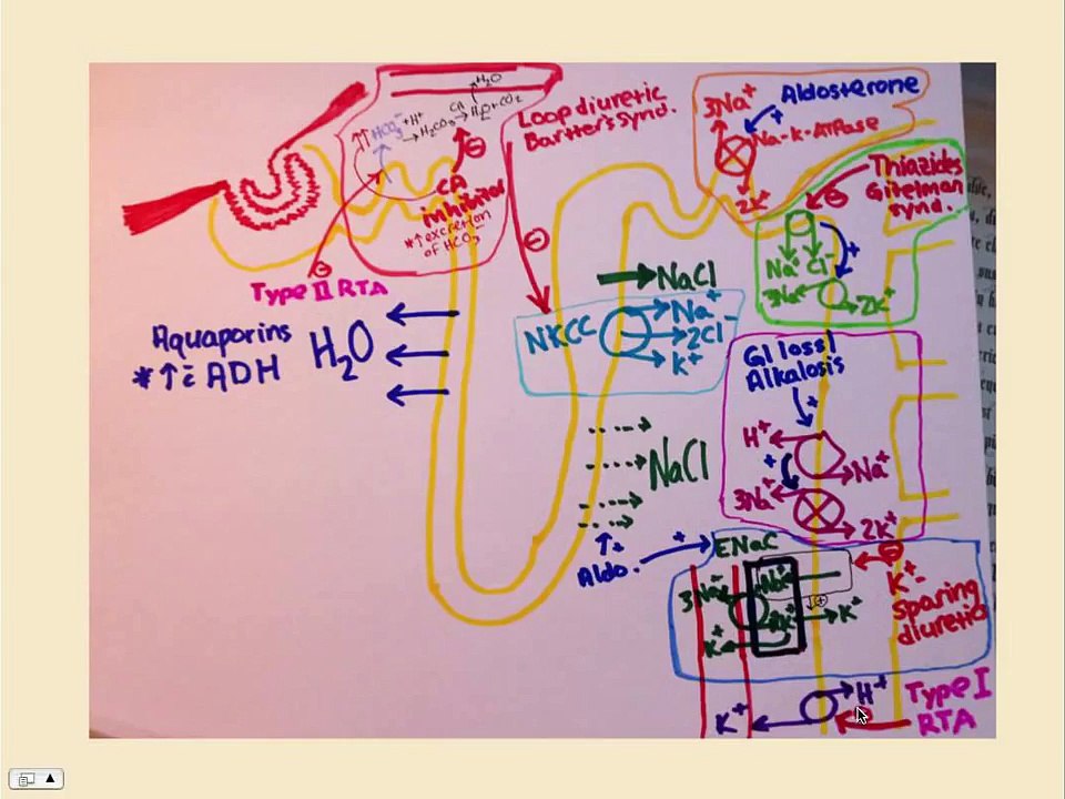 Renal Tubular Acidosis - USMLE STep 2 Review