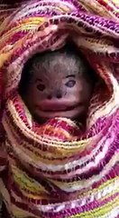 VID-20151013-WA0000.mp4